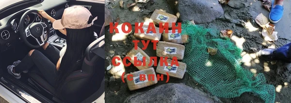 стафф Аркадак
