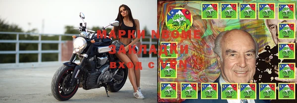 стафф Аркадак