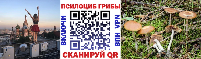 Галлюциногенные грибы Cubensis  Купить закладки  Алушта 